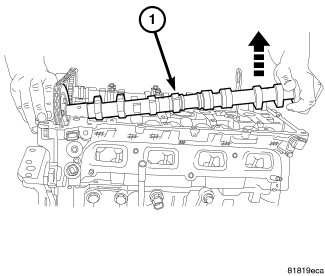 GC0082412