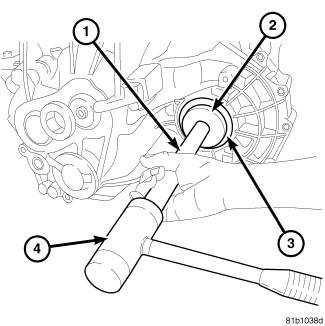 GC0082607