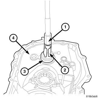 GC0082686
