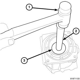 GC0083894